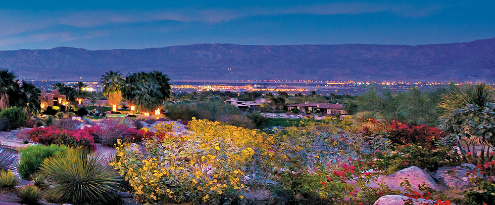 Flowers blooming at BIGHORN overlooking the valley's nighttime lights in the distance